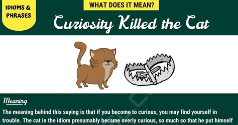 what killed the cat word hike